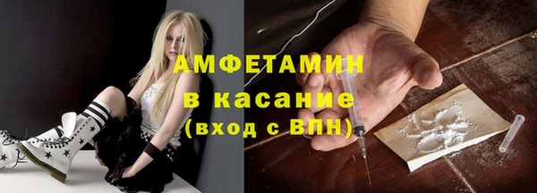 стаф Инта