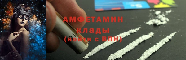 стаф Инта