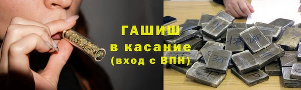 стаф Инта