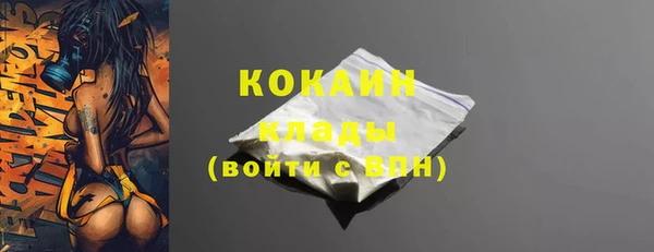 стаф Инта