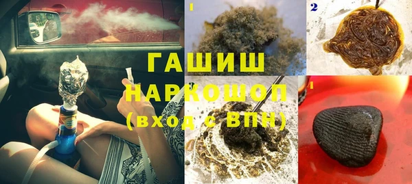 стаф Инта