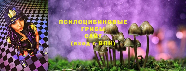 прущая мука Иннополис