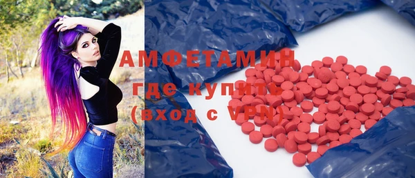 стаф Инта