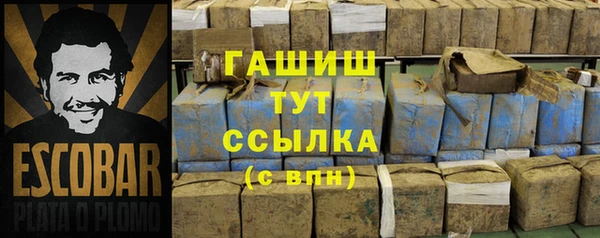 стаф Инта