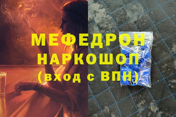 стаф Инта