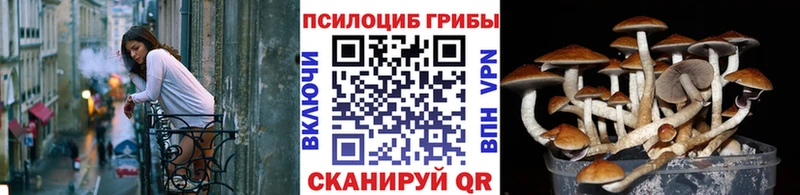 Галлюциногенные грибы прущие грибы  Купить где  Кремёнки 